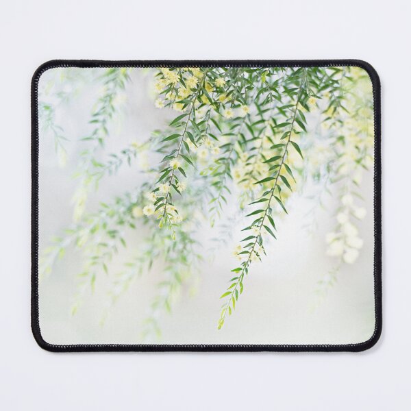 Item preview, In The Early Glow (Australian native wattle) designed and sold by Liza Clements Photographic.