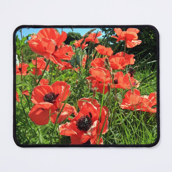 Item preview, Field of Red Poppies designed and sold by aidan  moran.