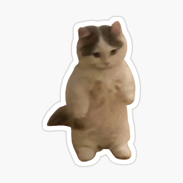 410 Best small standing cat icon meme pfp ideas in 2023