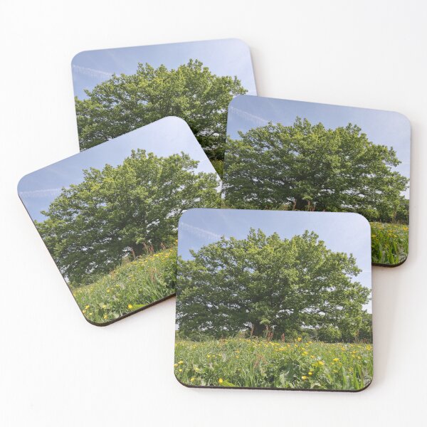 Item preview, Oak Tree on Hampstead Heath - London designed and sold by aidan  moran.