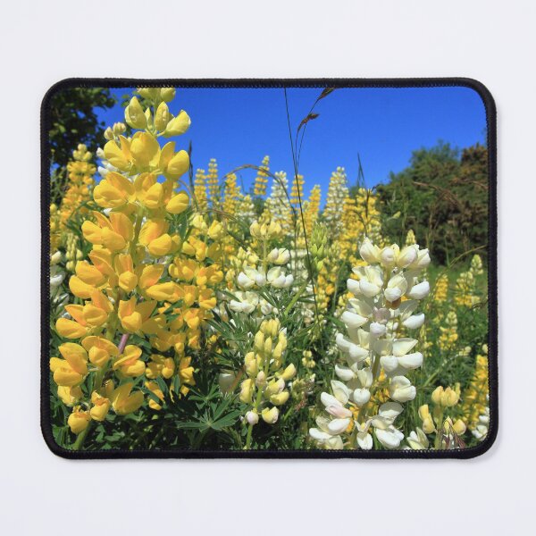 Item preview, Lupin Flower in Summer designed and sold by aidan  moran.
