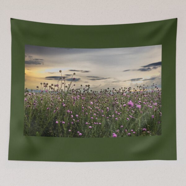 Item preview, D Lawson Photography - Thistles designed and sold by Danielle Lawson.