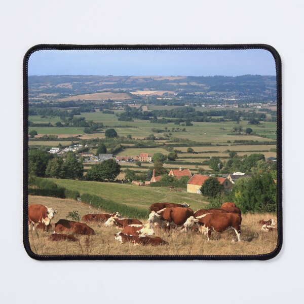 Item preview, Herd of Cows on the Somerset Levels designed and sold by aidan moran.