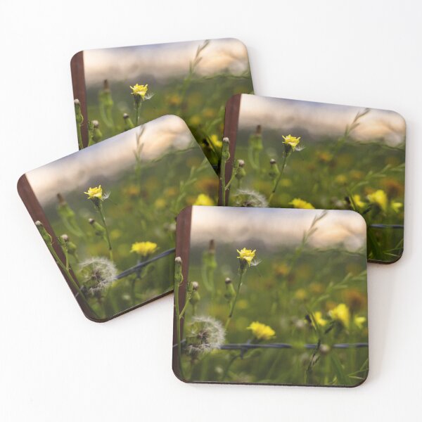 Item preview, D Lawson Photography - Texas Wildflowers designed and sold by Danielle Lawson.