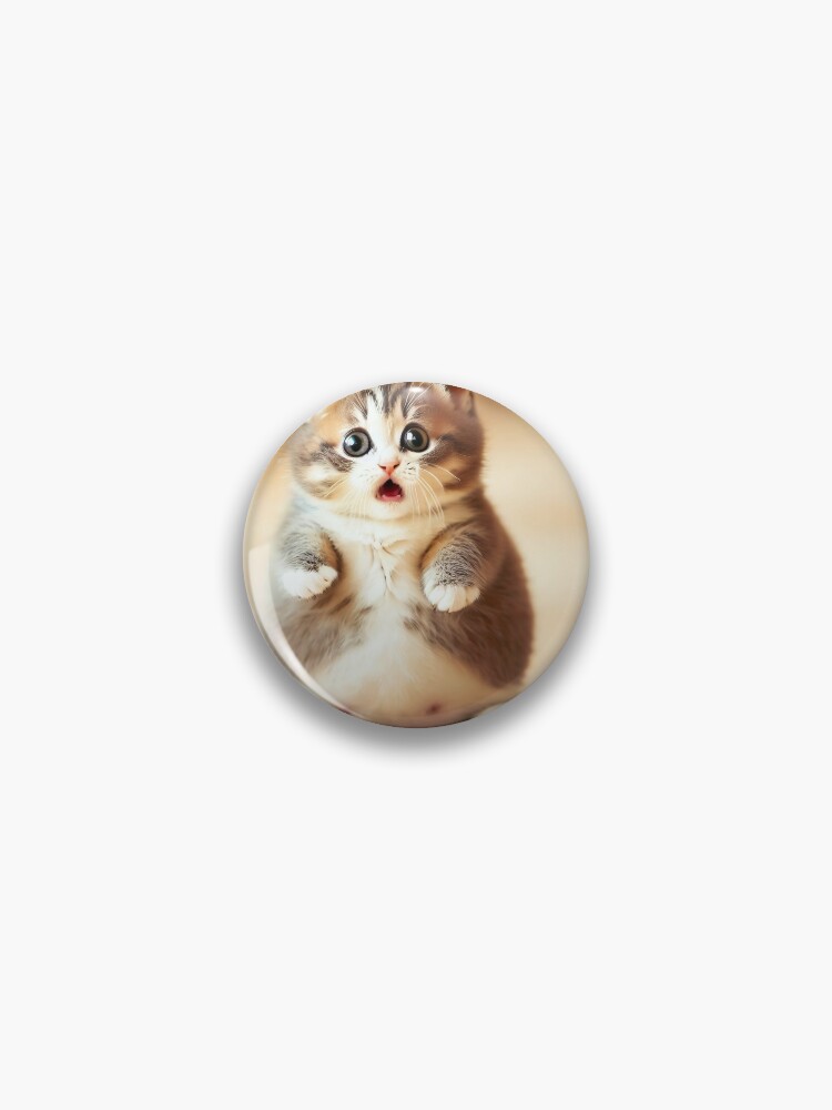 Pin on Fat Cat
