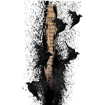 Artwork thumbnail, dreaded crows by Ranikhan