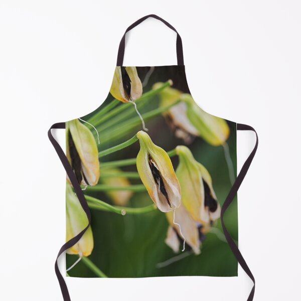 Item preview, Agapanthus Is Going To Seed designed and sold by Joy Watson - Natural Light Photography .