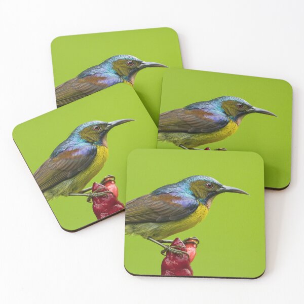 Item preview, Brown-Throated Sunbird designed and sold by TravellingFatmn.