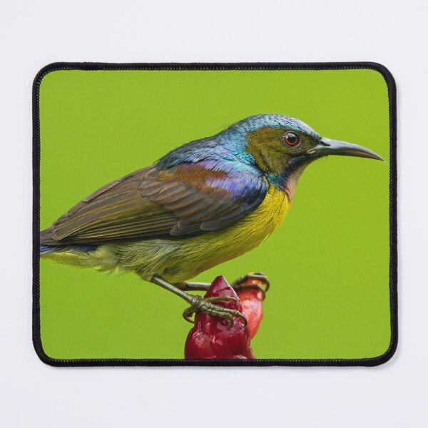 Item preview, Brown-Throated Sunbird designed and sold by TravellingFatmn.