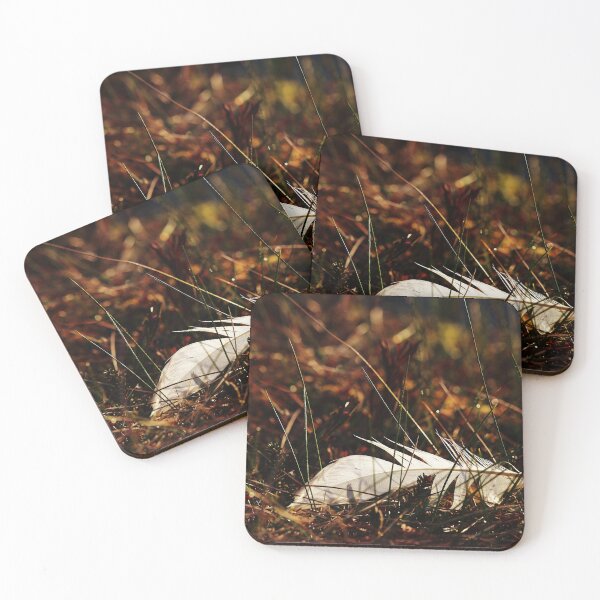 Item preview, 20.5.2023: Swan’s Feather designed and sold by Petri Volanen.