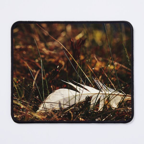 Item preview, 20.5.2023: Swan’s Feather designed and sold by Petri Volanen.