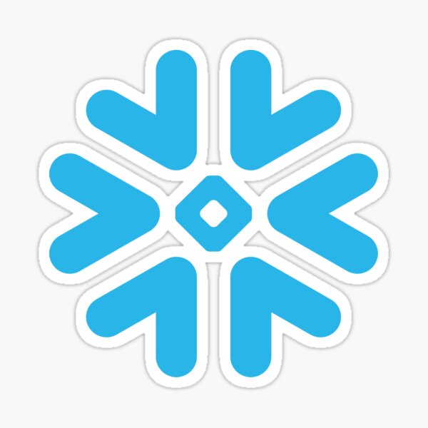 Item preview, snowflake programming AI data cloud designed and sold by developerfriday.
