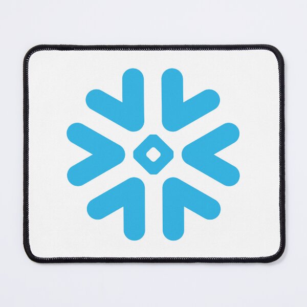 Item preview, snowflake programming AI data cloud designed and sold by developerfriday.