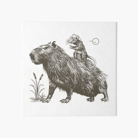 Prints of Digital illustration of Capybara (Hydrochoerus