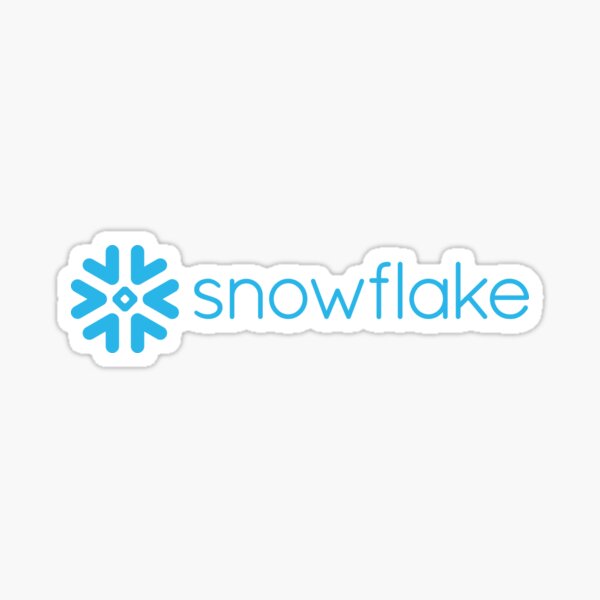 Item preview, snowflake programming AI data cloud designed and sold by developerfriday.