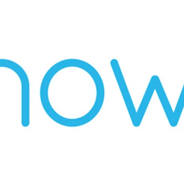 Artwork thumbnail, snowflake programming AI data cloud by developerfriday