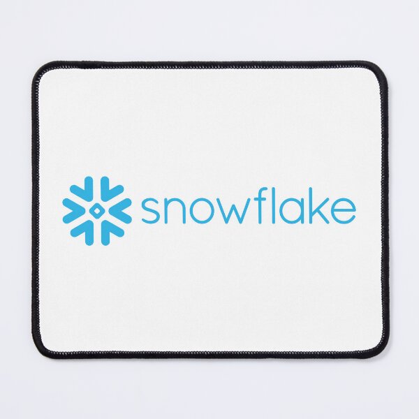 Item preview, snowflake programming AI data cloud designed and sold by developerfriday.