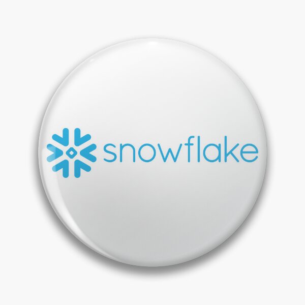 Item preview, snowflake programming AI data cloud designed and sold by developerfriday.