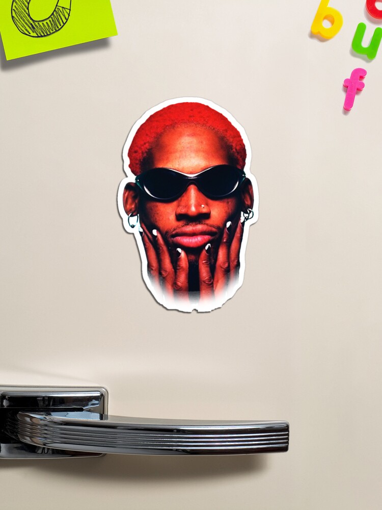 Dennis Rodman , dennis, 90s, chicago bulls, chicago, vintage