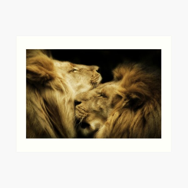 Brothers Art Print