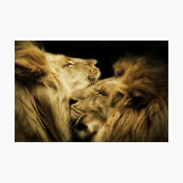 Brothers Photographic Print