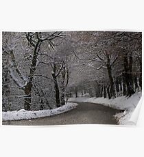 Snow covered woodland tree tunnel over road Poster