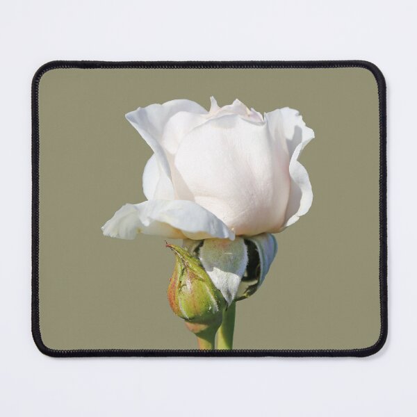 Item preview, White Rose designed and sold by STHogan2.