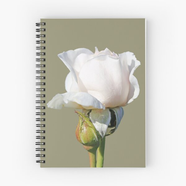 Item preview, White Rose designed and sold by STHogan2.