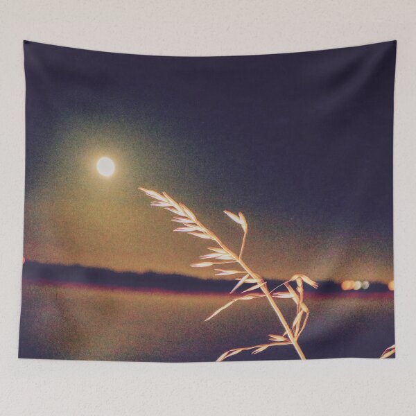 Item preview, Mooney designed and sold by Jake Larkin.