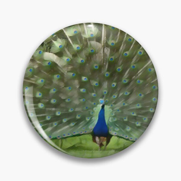 Aperçu de l'œuvre Plumage de paon en sommeil créée et vendue par Fearless-Fox.