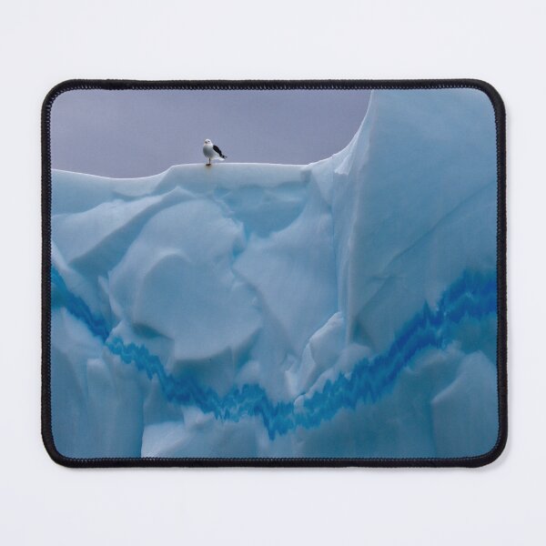Item preview, My Snazzy Iceberg (Kelp Gull, Pleneau Island, Antarctica) designed and sold by Krys Bailey.