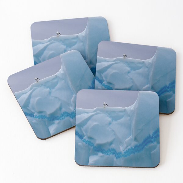 Item preview, My Snazzy Iceberg (Kelp Gull, Pleneau Island, Antarctica) designed and sold by Krys Bailey.