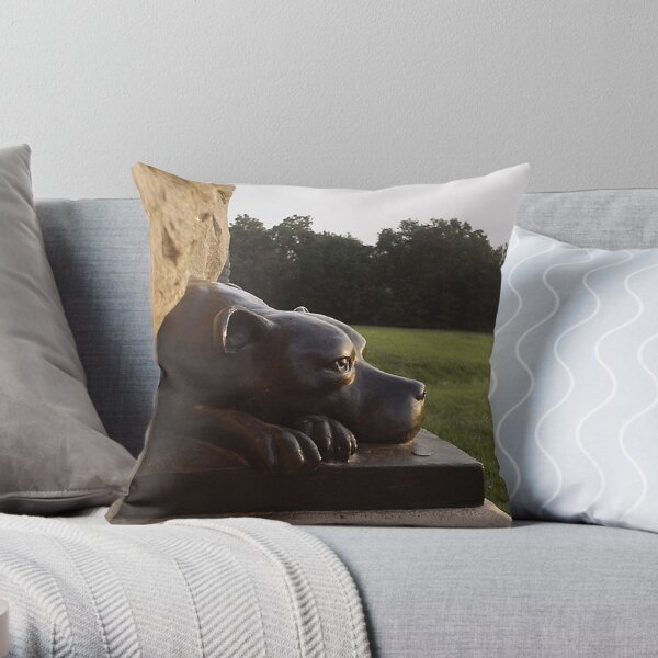 Gettysburg Journal (Bronze) - Sallie of the 11th Pennsylvania Throw Pillow