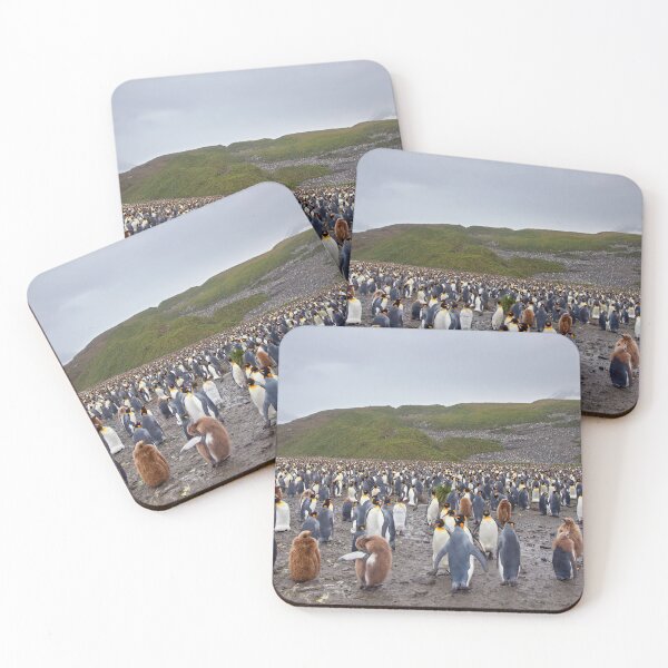 Item preview, So where are the Penguins? designed and sold by Krys Bailey.