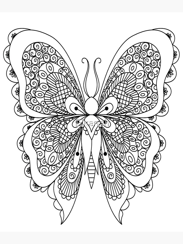 Butterfly Coloring Book For Adults: An Adult Coloring Book of 40 Detailed  and Patterned Butterflies by a Variety of Artists (Animal Coloring Books  for