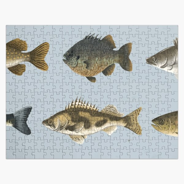 Freshwater Fish Jigsaw Puzzles