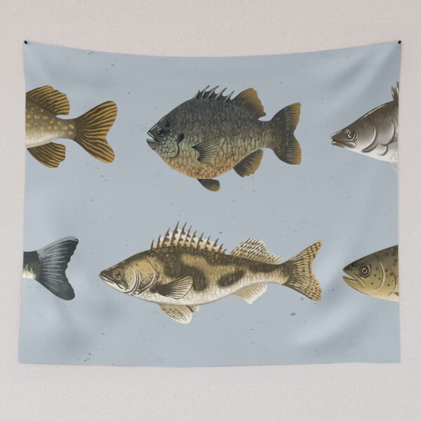 Item preview, freshwater fish designed and sold by DerSenat.