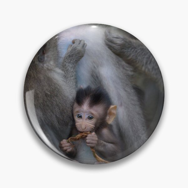 Item preview, monkey designed and sold by Anne Young.
