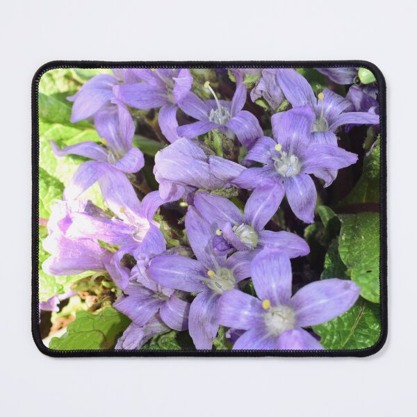 Item preview, Mandragora autumnalis 1 designed and sold by Furiarossa.