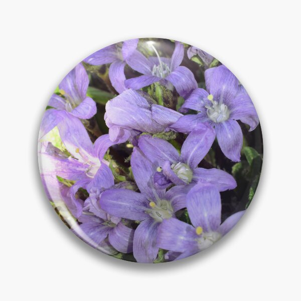 Item preview, Mandragora autumnalis 1 designed and sold by Furiarossa.