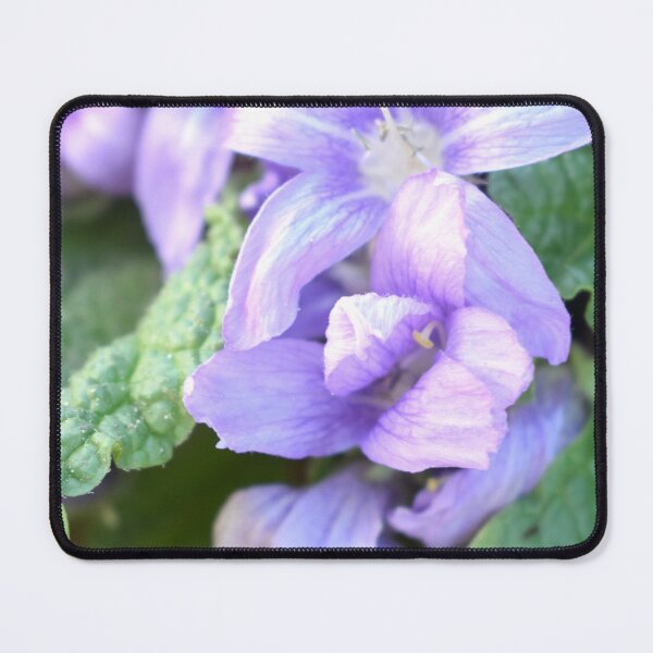 Item preview, Mandragora autumnalis 2 designed and sold by Furiarossa.