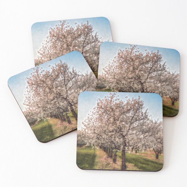 Item preview, Cherry Orchard in Spring designed and sold by KEnzPhotography.