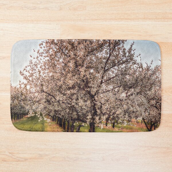 Item preview, Cherry Orchard in Spring designed and sold by KEnzPhotography.