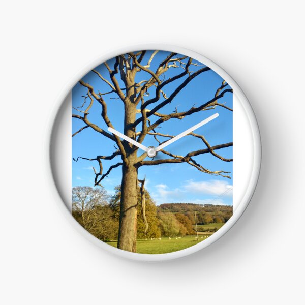 Item preview, Bare Tree designed and sold by MarkP57.