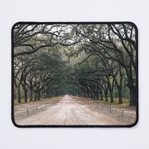 Item preview, Wormsloe Historic Site designed and sold by GEM-Photo.