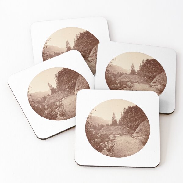 Item preview, [Yosemite National Park, California] — Carleton E. Watkins designed and sold by didijuca.