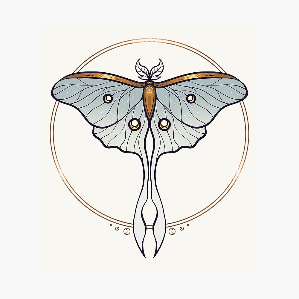 lines lunar moth tattooTikTok Search