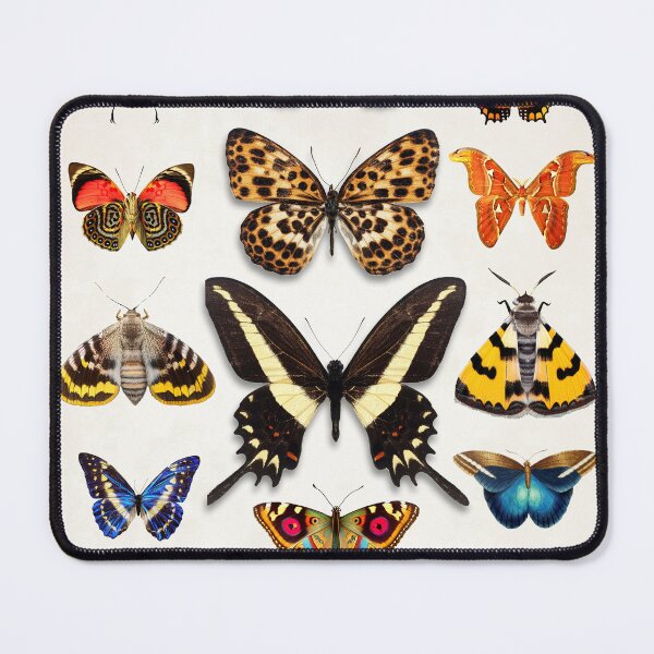 Item preview, Butterflies Insects Wall decoration wall paintings for interior Insects designed and sold by Anaconda23.
