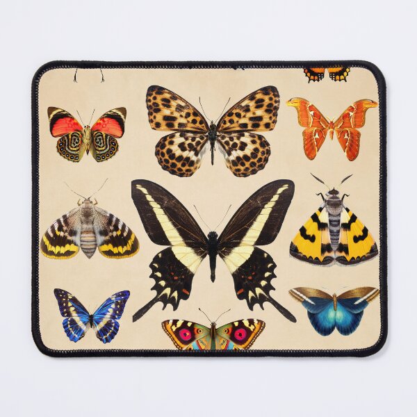 Item preview, Butterflies Insects Wall decoration wall paintings for interior Insects designed and sold by Anaconda23.