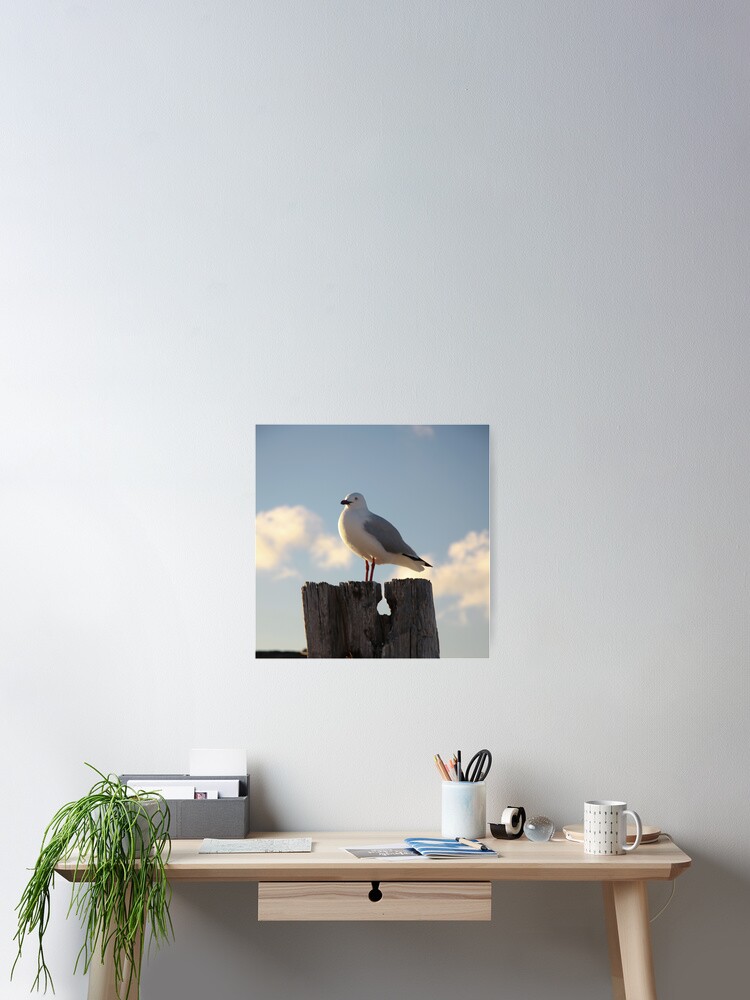 Thumbnail 2 of 3, Poster, Seagull designed and sold by mistered.